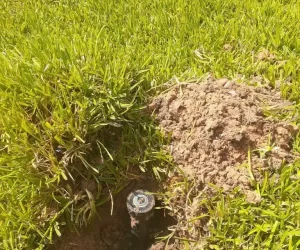 Wylie Irrigation Repair